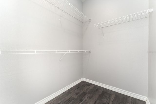 4306 BAYSIDE VILLAGE DRIVE 202, Tampa, FL 33615