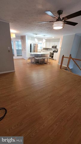 557 BELLVIEW AVE, Winchester, VA 22601