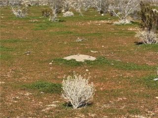 0 0, Acton, CA 93510