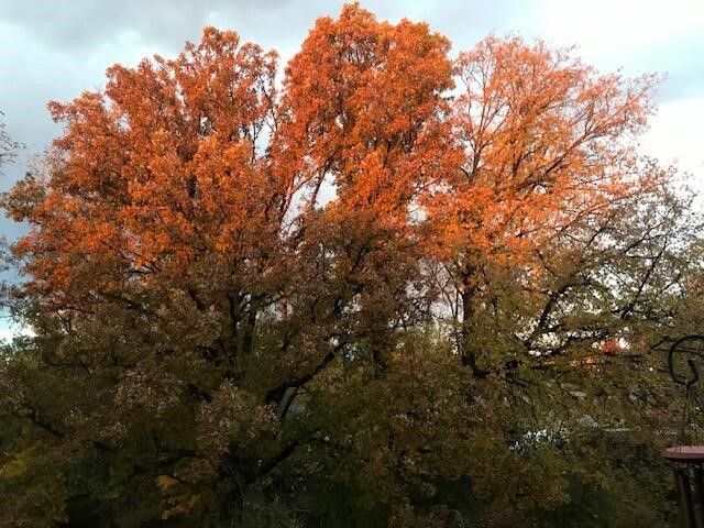 3379 Stormy Creek Drive, Grand Rapids, MI 49512