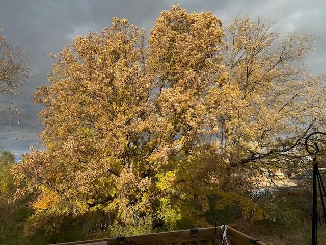 3379 Stormy Creek Drive, Grand Rapids, MI 49512