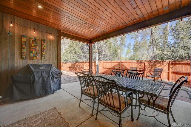 116 Meadow Lane, Buena Vista, CO 81211