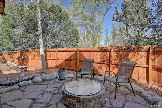 116 Meadow Lane, Buena Vista, CO 81211