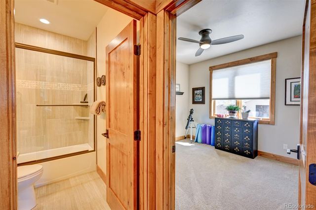 116 Meadow Lane, Buena Vista, CO 81211