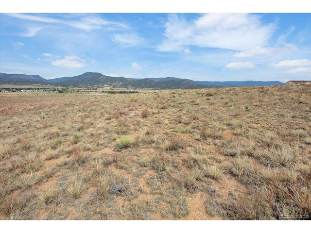 13944 Meadow Ln, Buena Vista, CO 81211