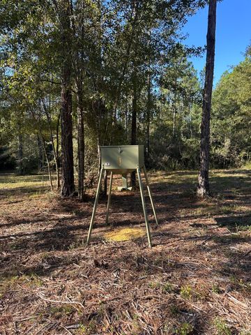 570 Little Mdw Way, Laurel Hill, FL 32567