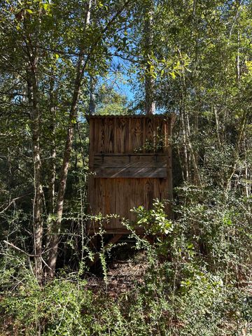 570 Little Mdw Way, Laurel Hill, FL 32567