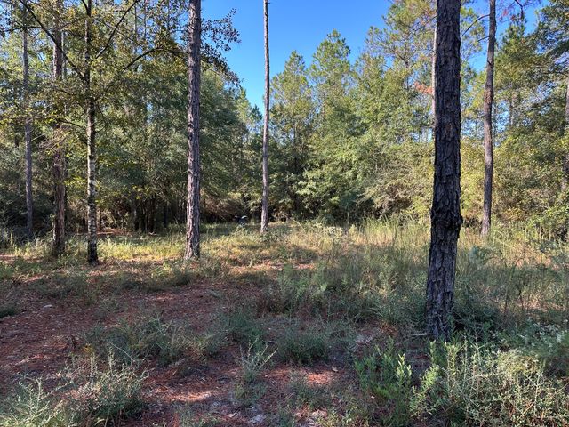 570 Little Mdw Way, Laurel Hill, FL 32567