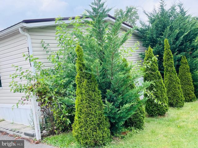 17101 MINER AVE, Williamsport, MD 21795