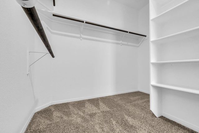 14304 Prospect Park Lane, Conroe, TX 77384