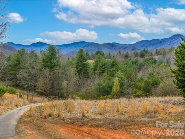 99999 Aladdin Drive, Leicester, NC 28748
