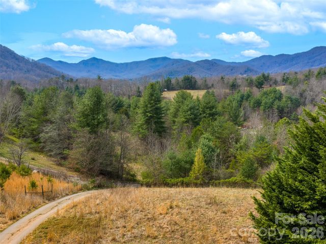 99999 Aladdin Drive, Leicester, NC 28748