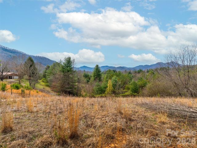 99999 Aladdin Drive, Leicester, NC 28748
