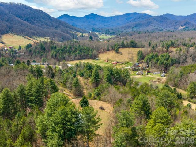 99999 Aladdin Drive, Leicester, NC 28748