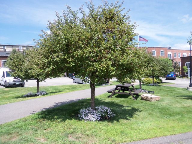 48 Landing Ln Unit 7, Laconia, NH 03246
