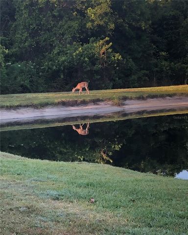 748 WINSLOW PARK, Tarpon Springs, FL 34688