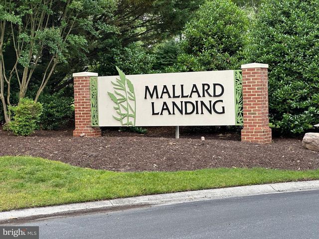 1101 S SCHUMAKER DR #007, Salisbury, MD 21804