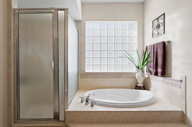 16333 BIRKDALE DRIVE, Odessa, FL 33556