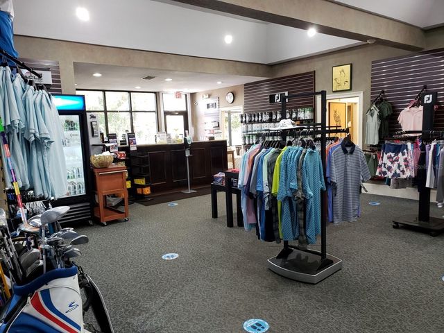 16333 BIRKDALE DRIVE, Odessa, FL 33556