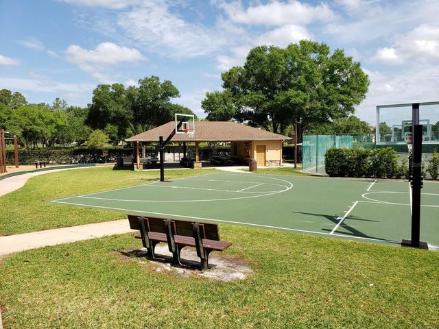 16333 BIRKDALE DRIVE, Odessa, FL 33556