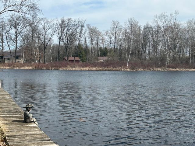 5383 Birch Island Drive 101, Barryton, MI 49305