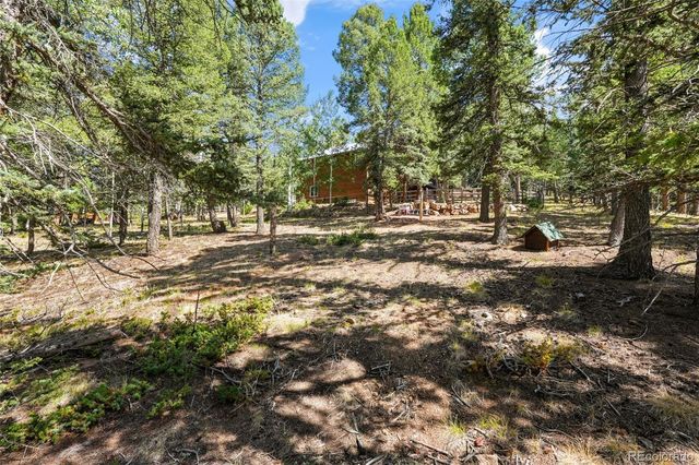 145 Grizzley Peak Road, Florissant, CO 80816