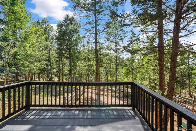 145 Grizzley Peak Road, Florissant, CO 80816