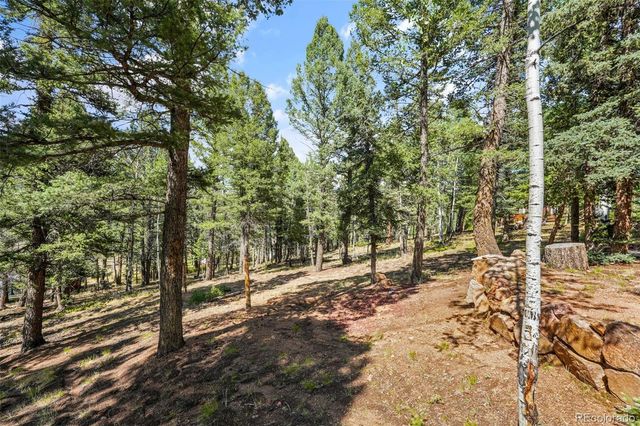 145 Grizzley Peak Road, Florissant, CO 80816