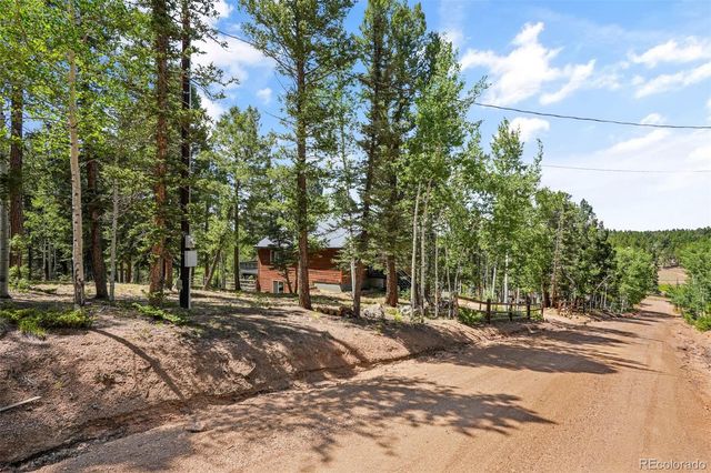 145 Grizzley Peak Road, Florissant, CO 80816