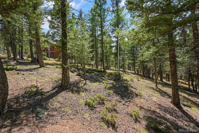 145 Grizzley Peak Road, Florissant, CO 80816