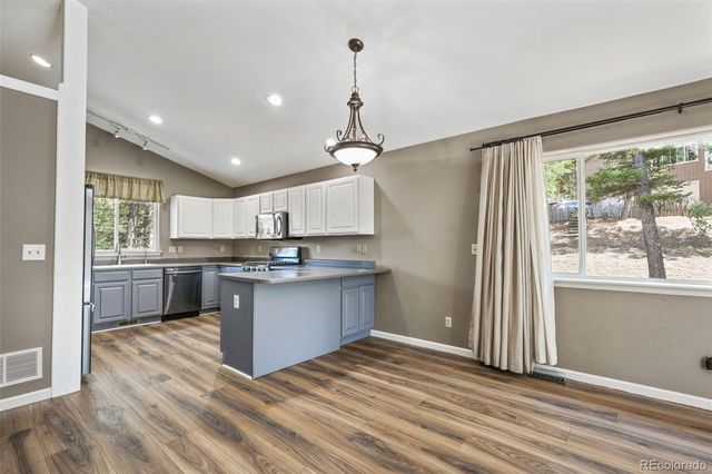 145 Grizzley Peak Road, Florissant, CO 80816