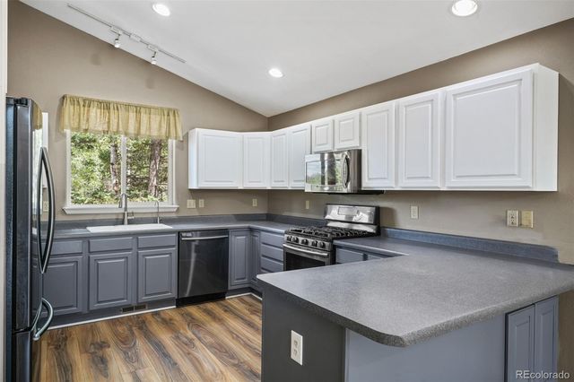 145 Grizzley Peak Road, Florissant, CO 80816
