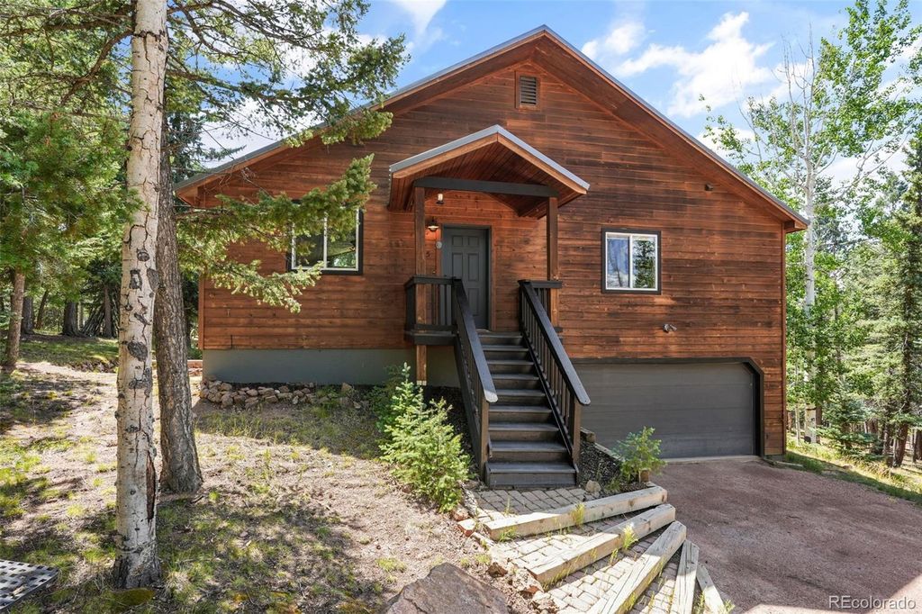 145 Grizzley Peak Road, Florissant, CO 80816