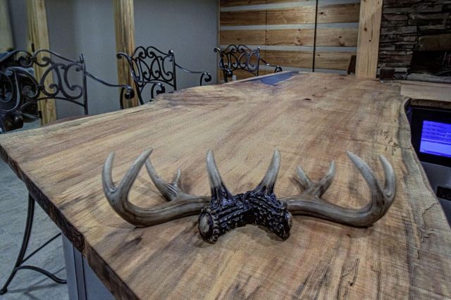 625 Cane Creek Mountain Road, Tellico Plains, TN 37385