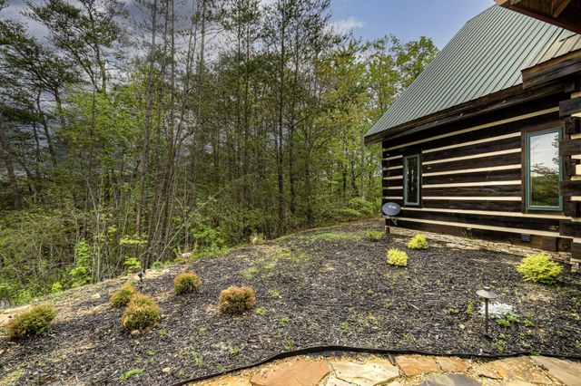 625 Cane Creek Mountain Road, Tellico Plains, TN 37385