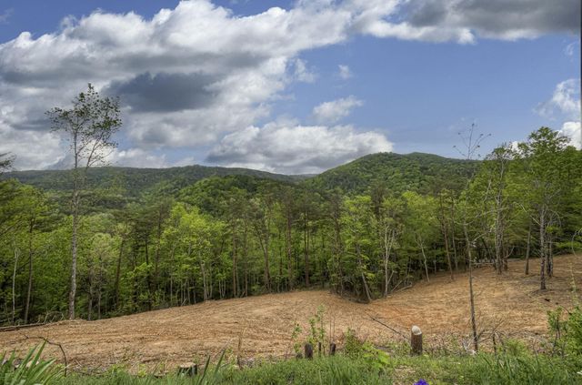625 Cane Creek Mountain Road, Tellico Plains, TN 37385