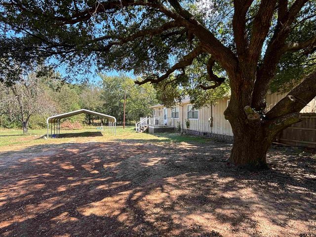 6971 W Hwy 11, Pittsburg, TX 75686