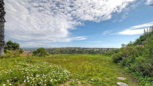 1729 Gascony Road, Encinitas, CA 92024