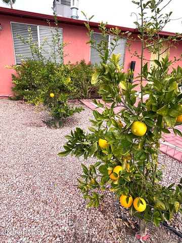 310 E 1ST Avenue, Ajo, AZ 85321