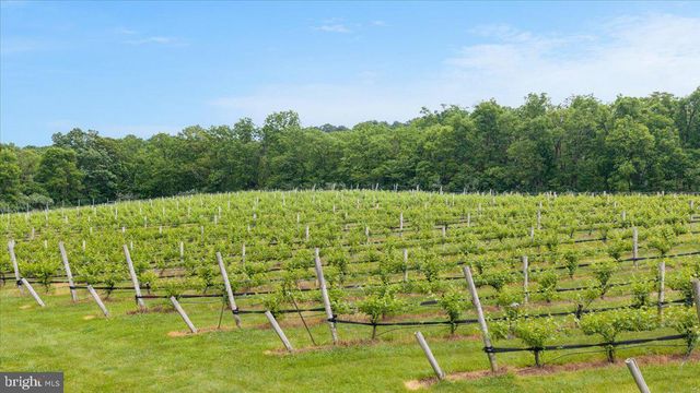 450 GREEN SPRING RD, Winchester, VA 22603