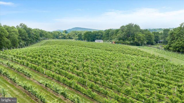 450 GREEN SPRING RD, Winchester, VA 22603