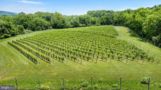 450 GREEN SPRING RD, Winchester, VA 22603