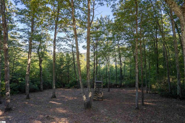 905 Mountain Summit Road, Travelers Rest, SC 29690
