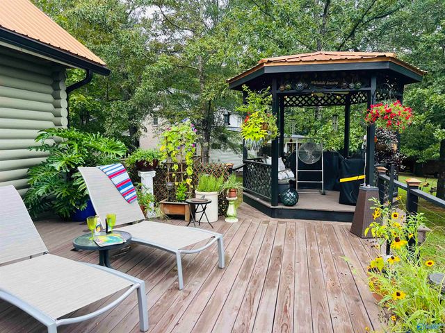 1255 County Road 642, Cedar Bluff, AL 35959