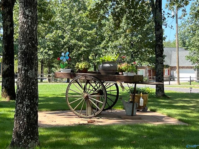 1255 County Road 642, Cedar Bluff, AL 35959