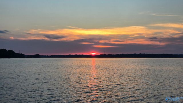 1255 County Road 642, Cedar Bluff, AL 35959