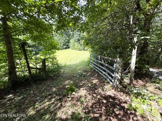 1461 Ponderosa Rd, Parrottsville, TN 37843