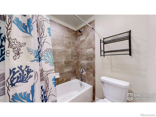 6074 Carmon Drive, Windsor, CO 80550