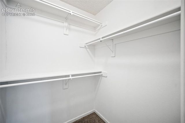 8510 Ilex Drive, Colorado Springs, CO 80920