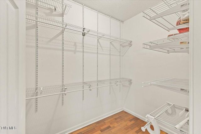 240 County Farm Road, Jonesborough, TN 37659